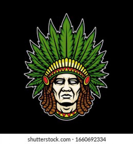 native-indian-dreadlock-mascot-logo-260nw-1660692334