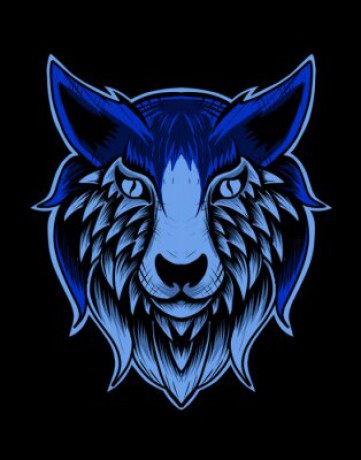 isolated-wolf-head-hand-drawn-on-black-background-vector-illustration-art-400-222304624