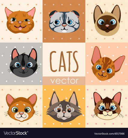 set-of-eight-colorful-cartoon-cat-faces-vector-6517066