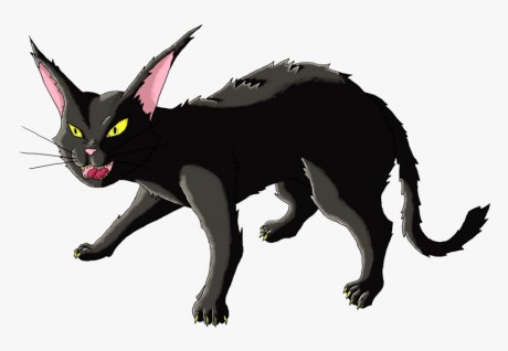 497-4970226_angry-cat-png-high-quality-image-angry-cat