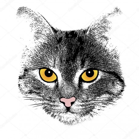 depositphotos_34224529-stock-illustration-stylized-cat-face-on-white