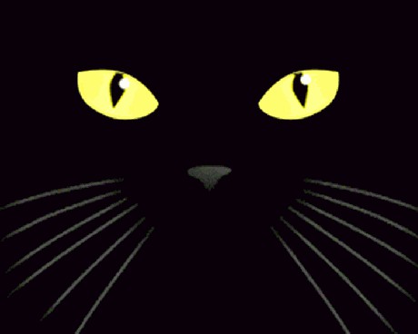 imagen-black-cat-live-wallpaper-0big.jpg