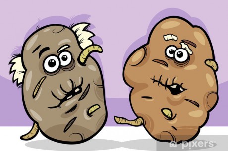 nalepky-stare-brambory-brambory-kreslene-ilustrace.jpg
