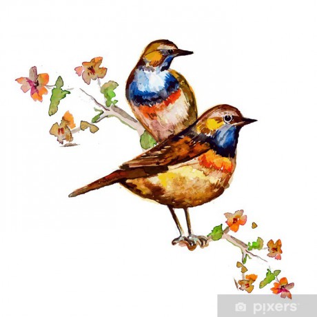 fototapety-roztomily-ptaci-pro-svuj-design-akvarel.jpg