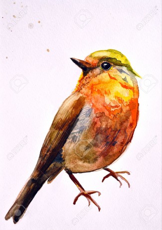 22089189-watercolor-drawing-of-cute-bird