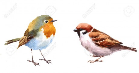82544783-robin-and-sparrow-two-birds-watercolor-hand-painted-illustration-set-isolated-on-white-background