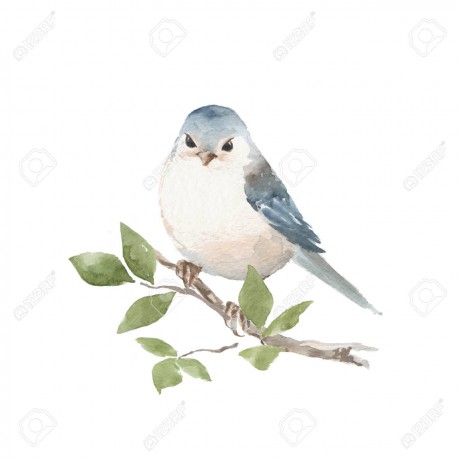 81630971-bird-on-branch-watercolor-painting
