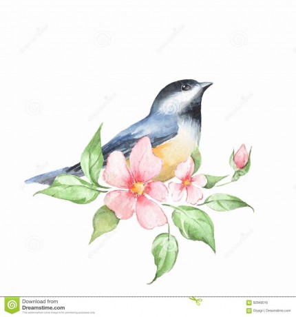 bird-branch-watercolor-painting-floral-92948016