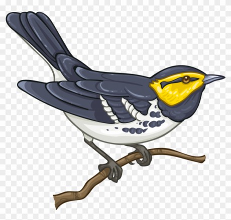 56-563931_golden-cheeked-warbler-golden-cheeked-warbler-png.png