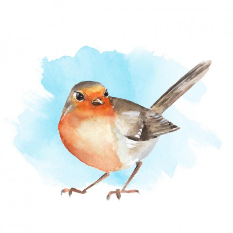watercolor-bird-robin-colorful-illustration-blue-background-89946110
