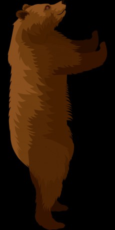 brown-bear-5522461_1280