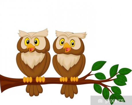wall-murals-cute-owl-couple-cartoon.jpg