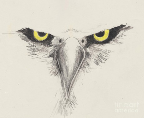 eagle-eyes-david-jackson