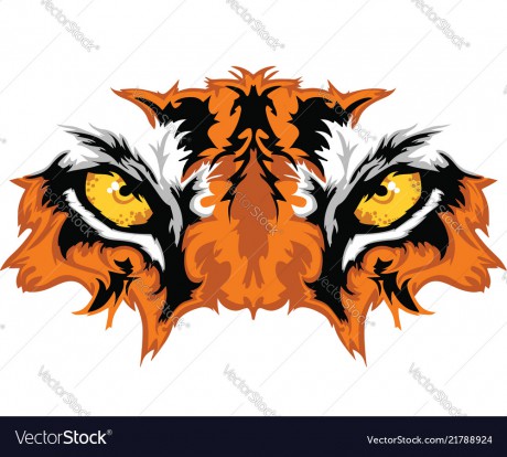 tiger-eyes-vector-21788924