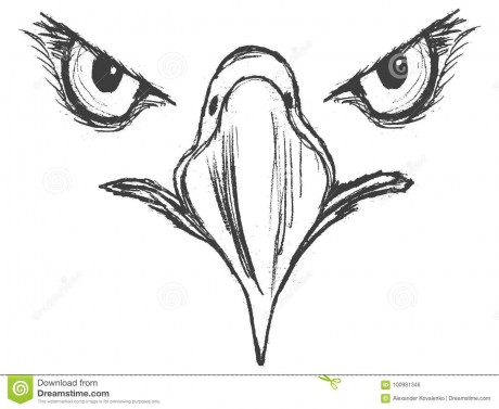 vector-sketch-hand-drawn-illustration-eagle-eyes-eagle-100981346