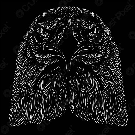 vector-logo-eagle-tattoo-tshirt-3168738