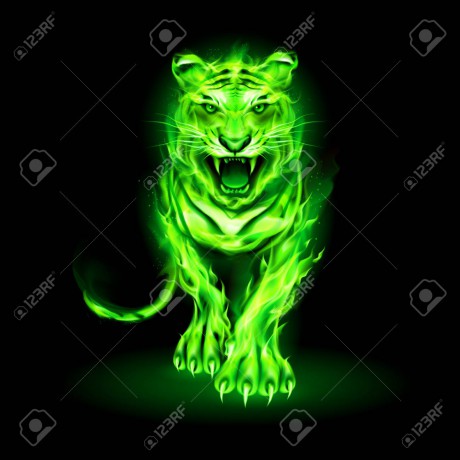 123137077-ilustración-del-gran-tigre-de-fuego-verde-caminando-y-rugiendo-sobre-fondo-negro