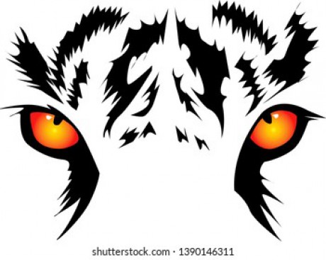 drawing-eyes-tiger-vector-illustration-260nw-1390146311
