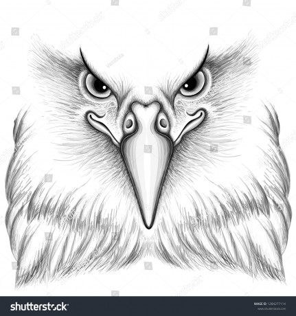 stock-vector-the-vector-logo-eagle-for-tattoo-or-t-shirt-design-or-outwear-hunting-style-eagle-background-1284277114
