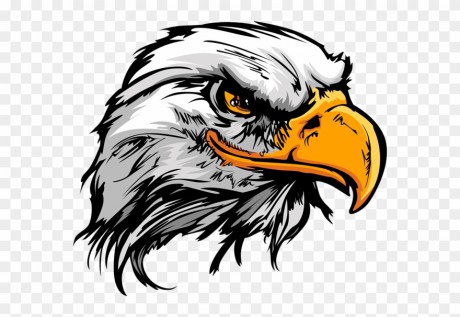 148-1483383_best-hd-eagle-head-tattoo-design-library-eagle.png