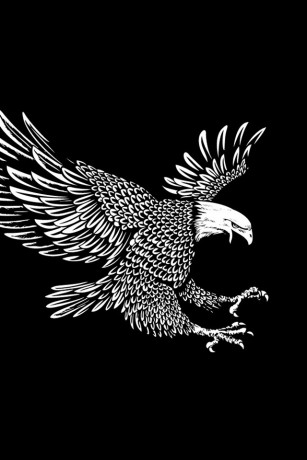 Eagle-wings-flight-black-background-art-picture_iphone_640x960