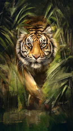 Tiger-Painting-iPhone-Wallpaper