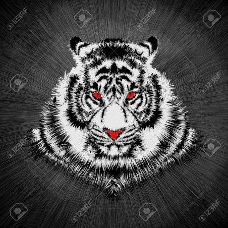 78483501-white-tiger-head-vector-illustration-of-white-tiger