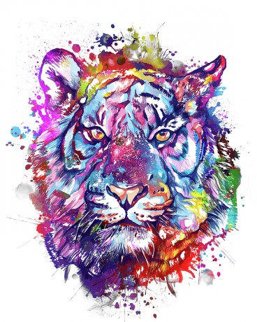 colorful-tiger-face-bekim-m