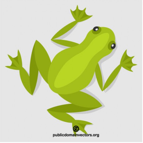 frog-vector--pdv