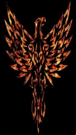 HD-wallpaper-phoenix-bird-burn-fire-flames