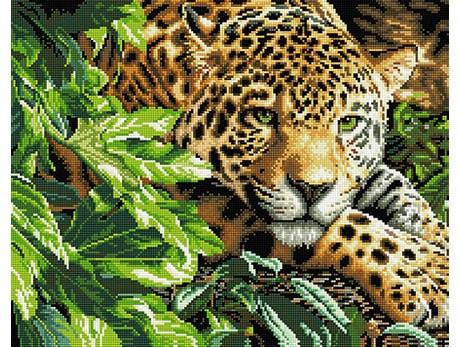 5033-460x347-jaguar