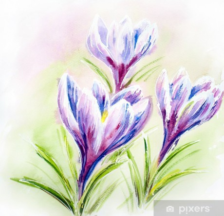 posters-painted-watercolor-card-with-crocus-flowers.jpg