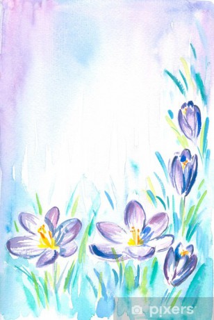 wall-murals-background-with-crocus-watercolor-painted.jpg
