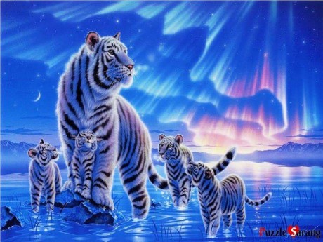 HD-wallpaper-white-tiger-family-fantasy-white-tigers-cubs-abstract-cats-big-cats-animals