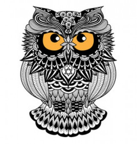 owl-design-vector-20846779
