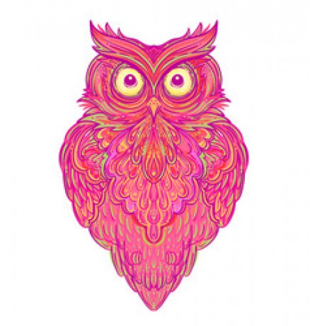 cute-abstract-owl-and-psychedelic-ornate-pattern-vector-28910683