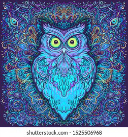 cute-abstract-owl-psychedelic-ornate-260nw-1525506968