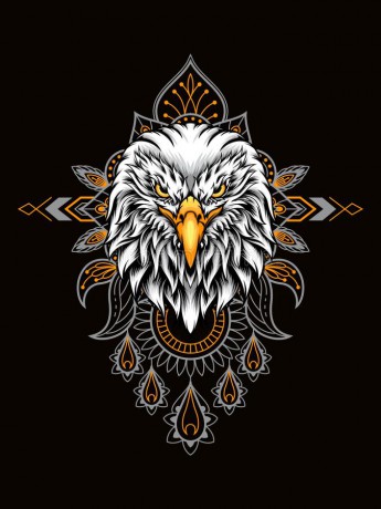 eagle-mandala-eagle-head-vector-illustration-mandala-as-background-ornament-suitable-apparel-merchandise-t-shirt-162156076