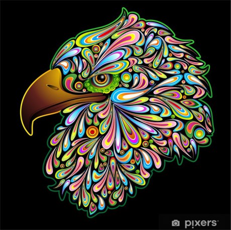 plakaty-eagle-hawk-hawk-hawk-orel-design-psychedelic-pop-art.jpg