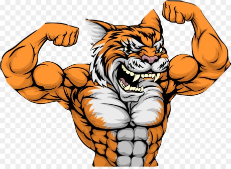 kisspng-tiger-muscle-stock-photography-clip-art-bodybuilding-5abb8984eaf093.0638820915222398769623