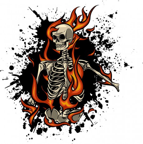 5-skull-on-fire-with-flames-vector-illustration-dean-zangirolami