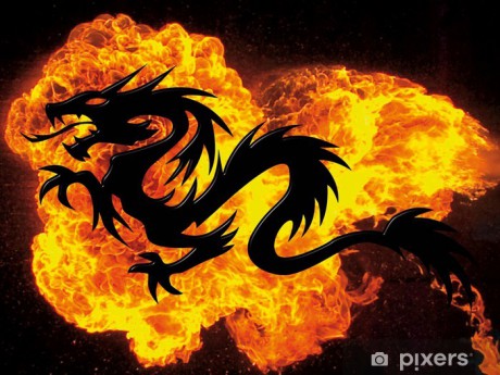 fototapety-fire-dragon.jpg