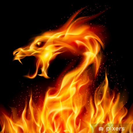 plakaty-fire-dragon.jpg