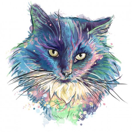 vlastní-kočičí-portrét-z-fotografií-akvarel-v-jemných-pastelových-barvách