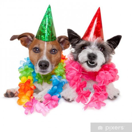 posters-twee-grappige-verjaardag-honden-vieren-dicht-bij-elkaar-als-een-paar.jpg