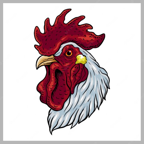 realistic-mascot-drawing-rooster-with-full-detail_122297-1097