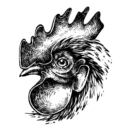 cock-ink-drawing_6229-143