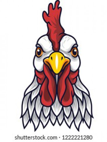 chicken-rooster-head-mascot-260nw-1222221280