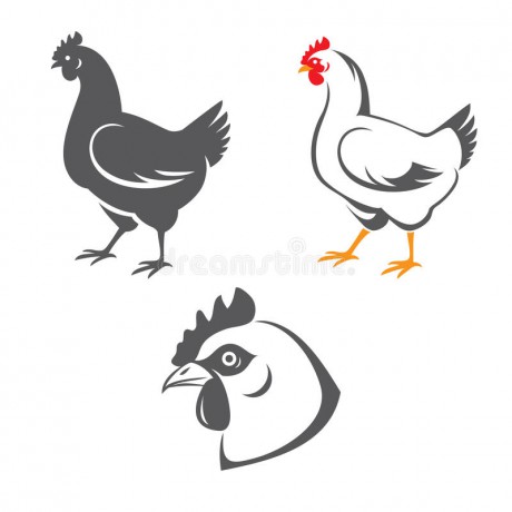 chicken-tree-hen-icons-head-two-silhouettes-vector-37428251