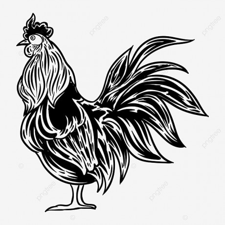 pngtree-black-rooster-graphic-silhouette-chicken-cock-for-cutting-png-image_1969014